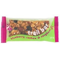 Gayleen's Trail Bar Blueberry Cashew Sorghum